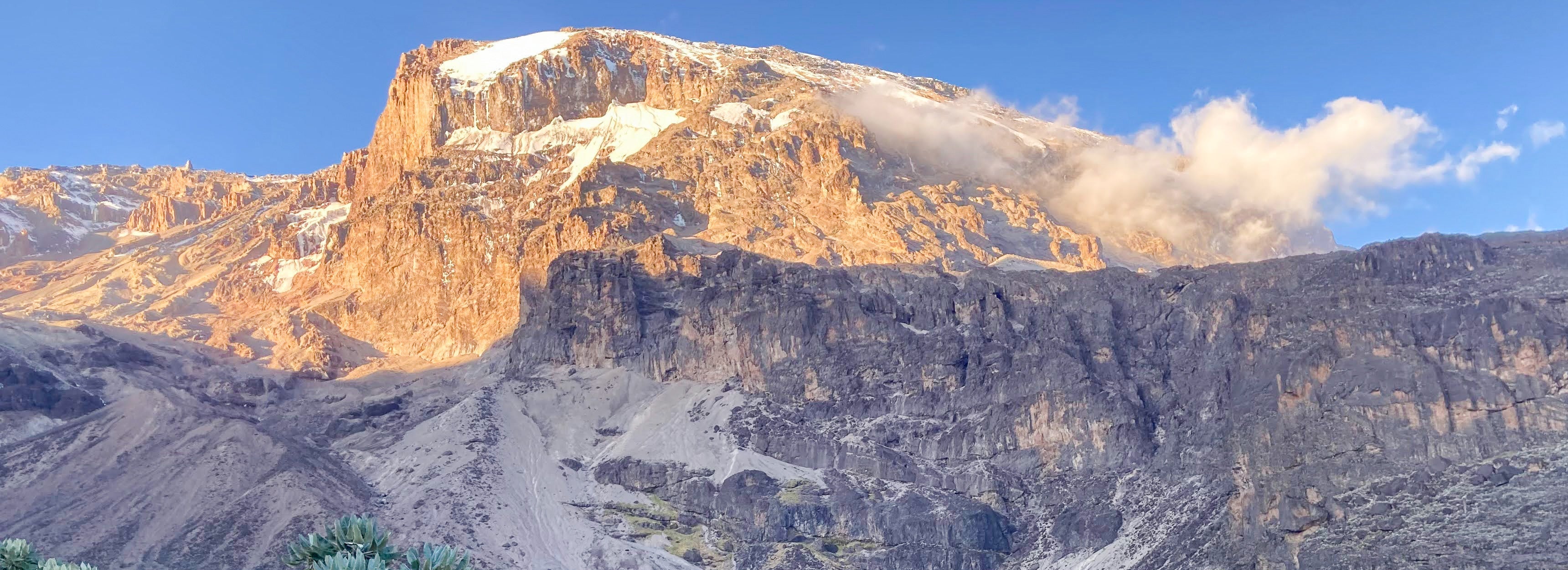 Real Customer Stories: The Transformative Power of Climbing