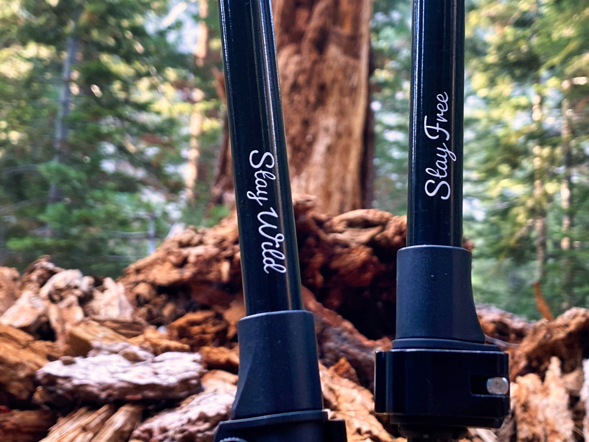 Close-up of Get Out Gear Goat Stix trekking poles with ‘Stay Wild’ and ‘Stay Free’ engraved on the black carbon fiber shafts, set against a forest background with a fallen tree.
