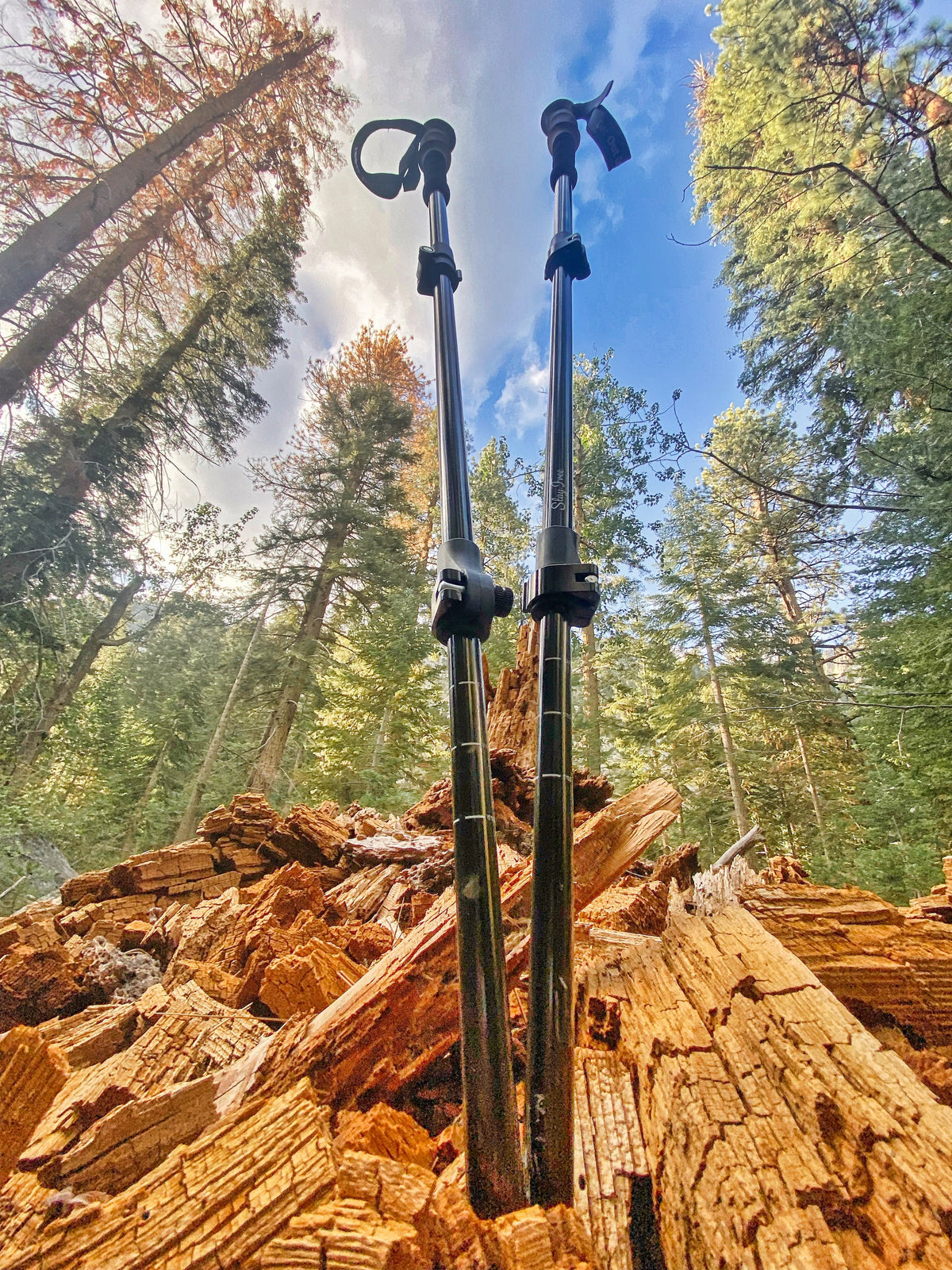 Get Out Gear Goat Stix trekking poles standing upright on a weathered tree trunk in a forest, with tall trees and blue sky in the background.